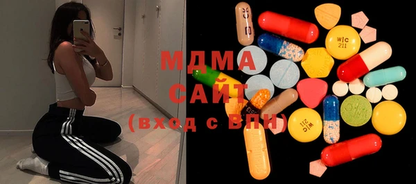 шишки Саяногорск