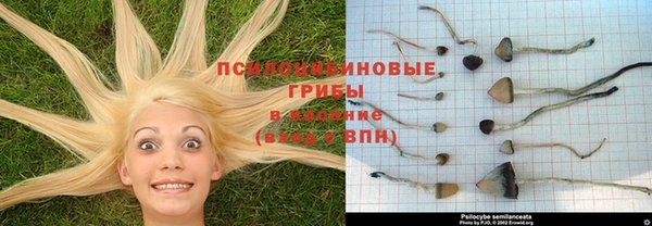 а пвп мука Белоозёрский